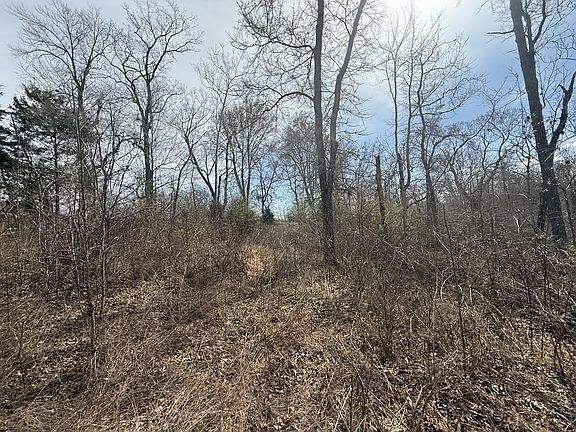 4th image of 0 Grays Chapel Rd Lot 0