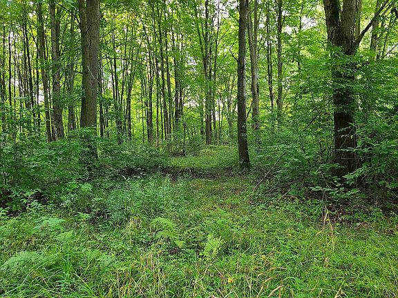 2nd image of 239095 DAWSON ROAD