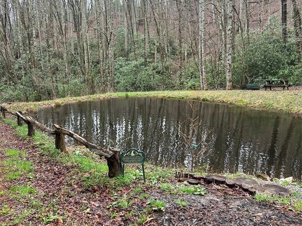 165 Pine Moss Trl, Hot Springs, NC 28743
