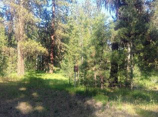117 Morgan Dr, McCall, ID 83638
