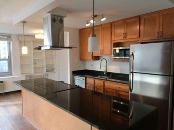 3rd image of 1255 N Sandburg Ter Unit 501E