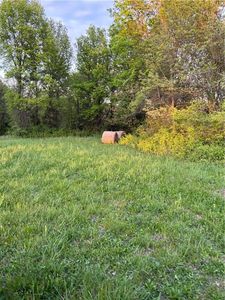 SE County Road 775, Butler, MO, 64730