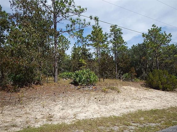 5th image of 4659 W Phoenix Dr