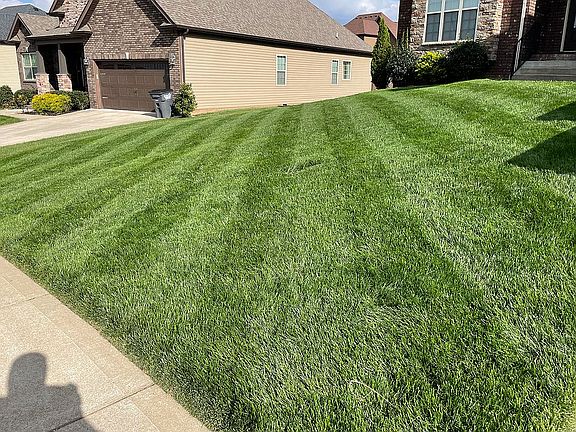 4th image of 158 Melbourne Dr
