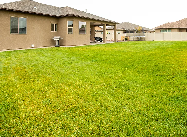 262 Denali Ct — Photo 1