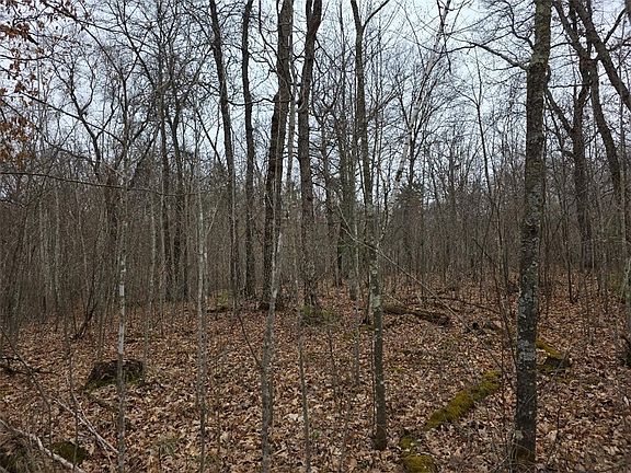 3rd image of Lot 7 Kessler Road