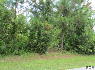 12 Buffalo Grove Pl, Palm Coast, FL 32137