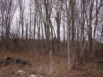 2nd image of 2049 St Rt 125