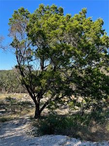 182 Hilltop Rdg, New Braunfels, TX, 78132