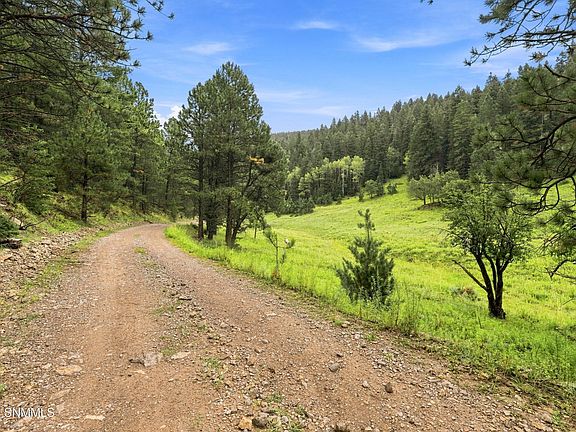 5th image of Wills Canyon Rd