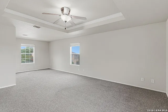 25513 Gold Yarrow — Photo 18