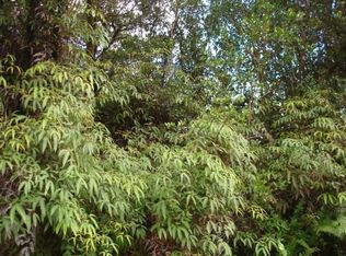 11-3198 Mailenani Rd #21, Volcano, HI 96785