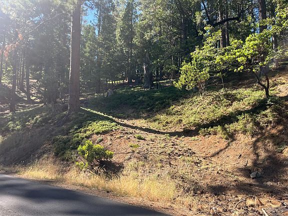2nd image of 2216 Chaparral Dr