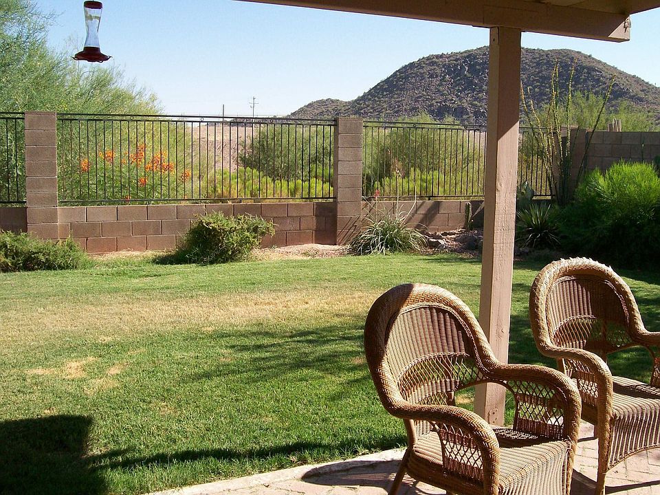 back yard