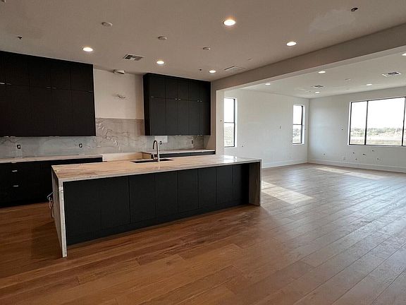 3rd image of 13164 E DESERT HOLLY Drive