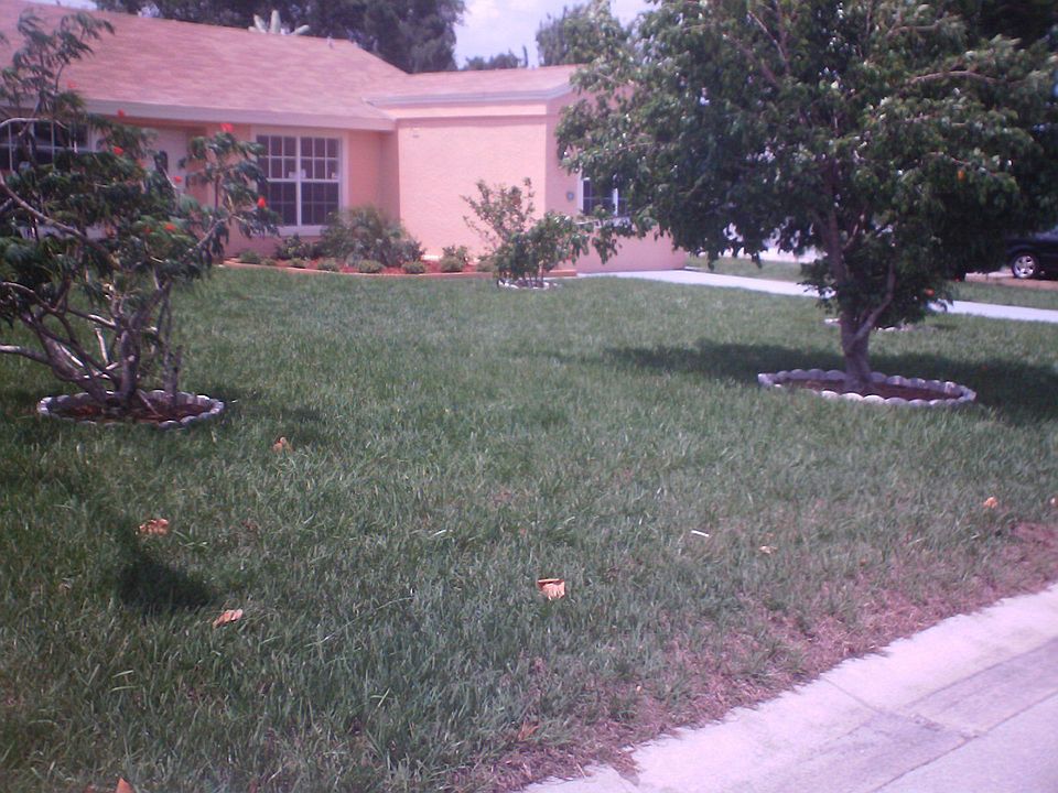 Front Yard View