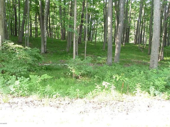 5th image of 11329 Heather Ln
