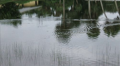 Beautiful lakefront home.