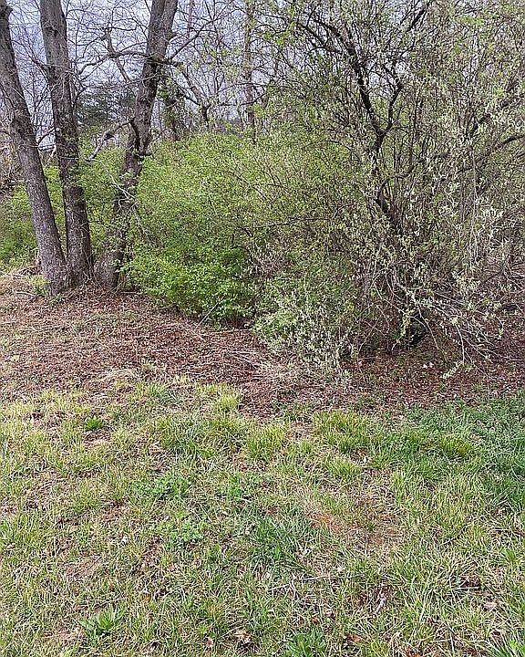 2nd image of 2736 White Oak Grove Rd