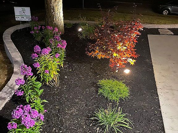 Professional landscaping 