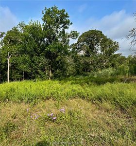 6766 River Oaks Dr, College Station, TX, 77845