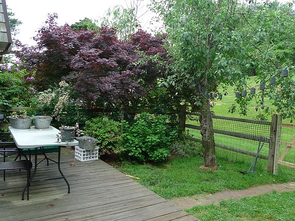 Fenced back yard with small deck