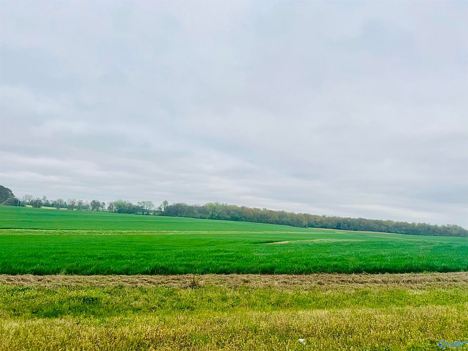 2nd image of Shaw Rd