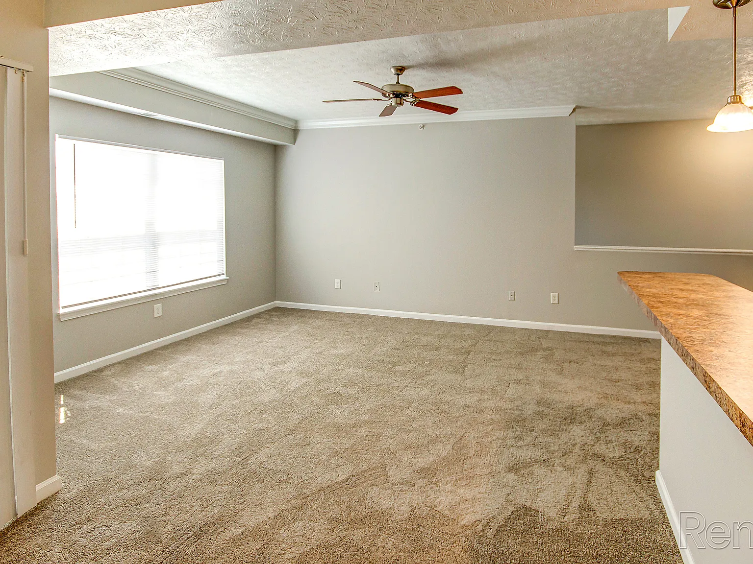 Trotters Pointe — Photo 3