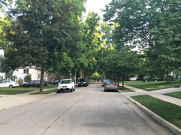 Quiet tree-lined street