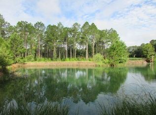 7614 Lodgetown Rd, Pelham, GA 31779