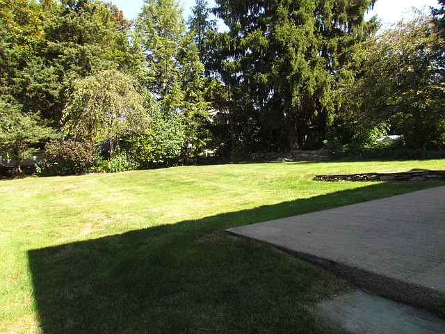 504 Rugby Rd — Photo 19