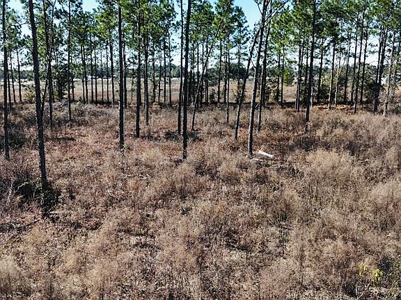 4th image of 0 Lone Oak Trl