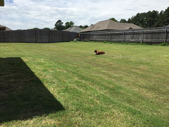 5th image of 3802 Sylvia Dr