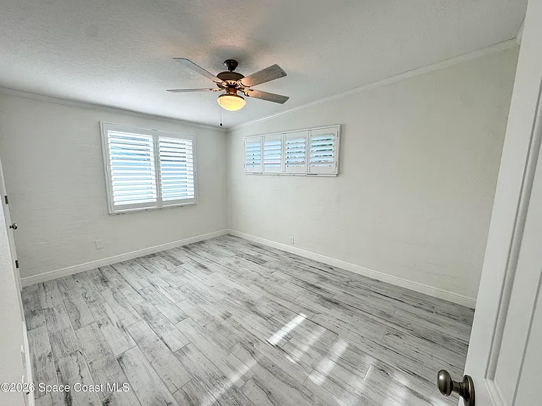 249 Palm Ln — Photo 11