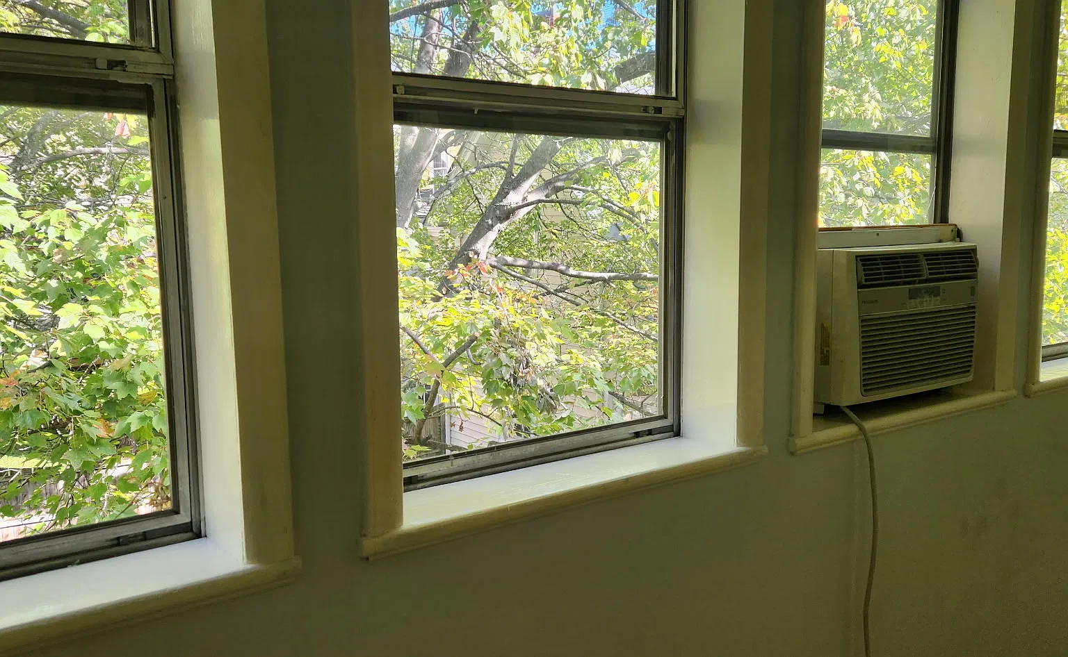 409 W Beverley St — Photo 3