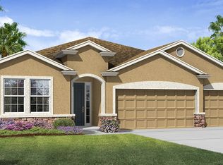13436 Canopy Creek Dr, Tampa, FL 33625