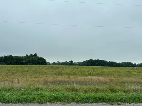 10124 New Holland St, Zeeland, MI 49464