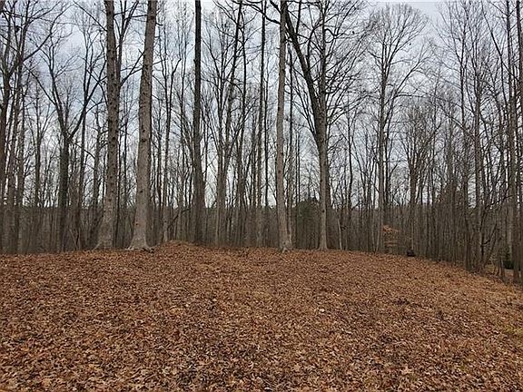 4th image of 225 Forest Meadow Ln