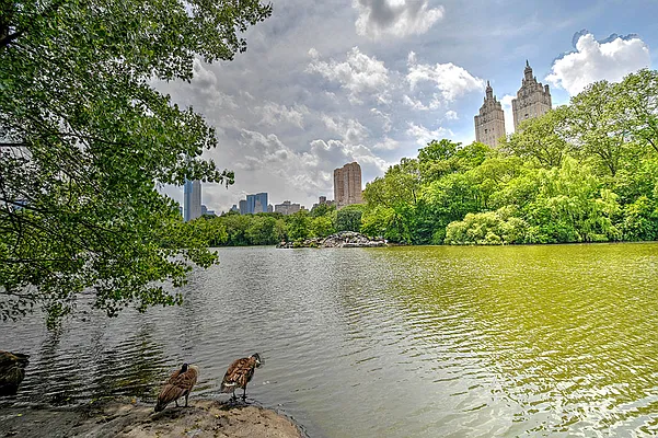 Rented by Urbane Brokerage | media 24