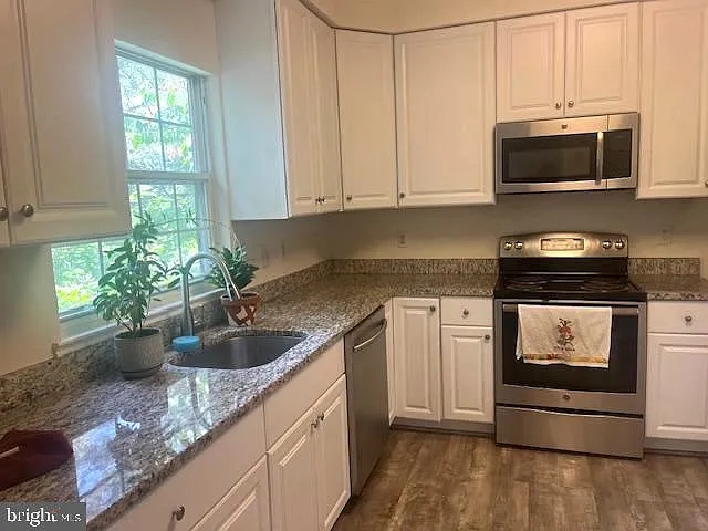 2028 Madrillon Springs Ct — Photo 11
