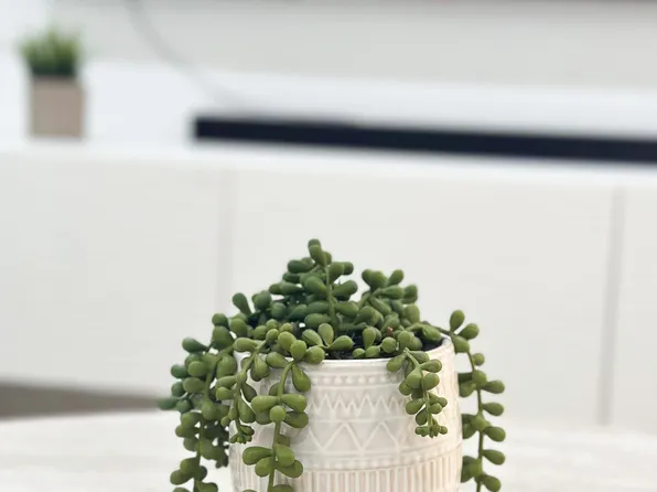 5952 Mohr Loop, Tampa, FL 33615