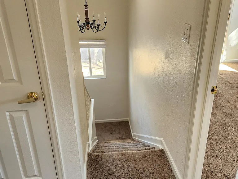 2304 S Williams St — Photo 18