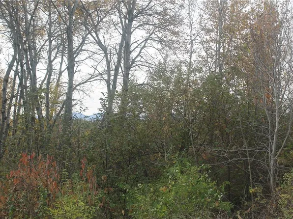 County Rte 410, Berne, NY 12193