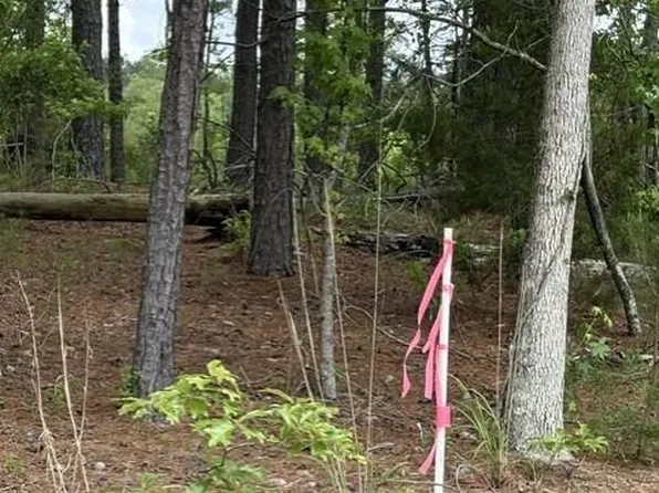 LOT Cemetery Rd #B, Williston, SC 29853