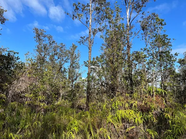 Road 3 Hopue Lot 3304, Kurtistown, HI 96760