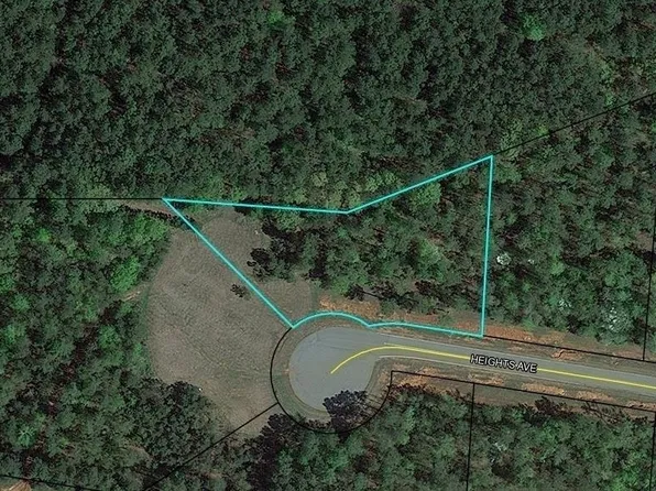 132 Heights Ave, Forsyth, GA 31029