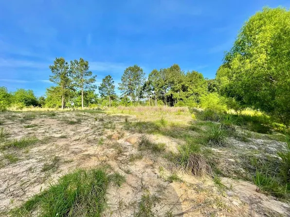 0 Wolf Pit Church Rd, Alma, GA 31510