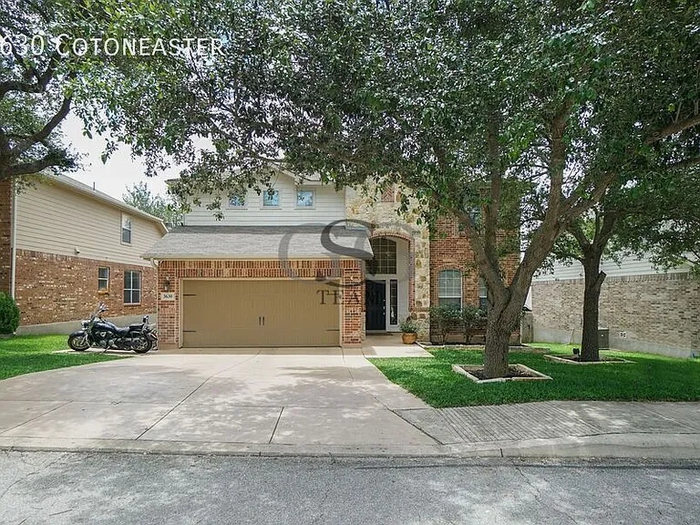 3630 Cotoneaster — Photo 4