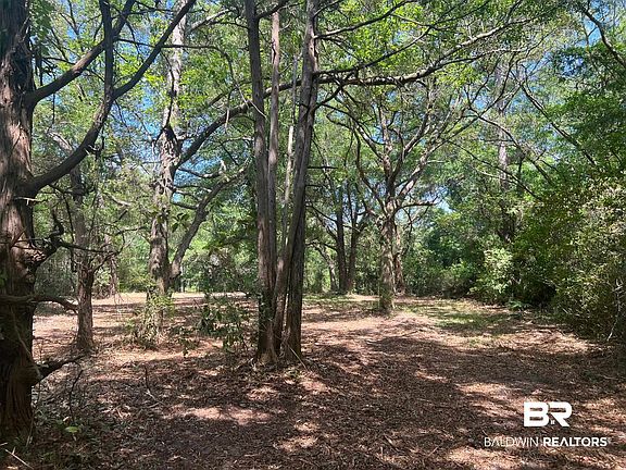 4th image of 17967 River Rd