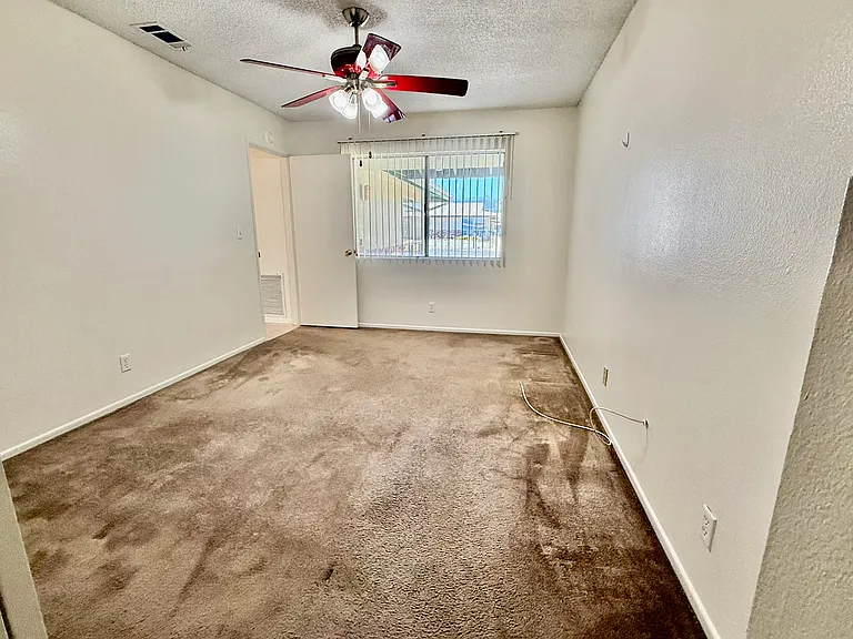26071 Camphorwood Ave — Photo 18